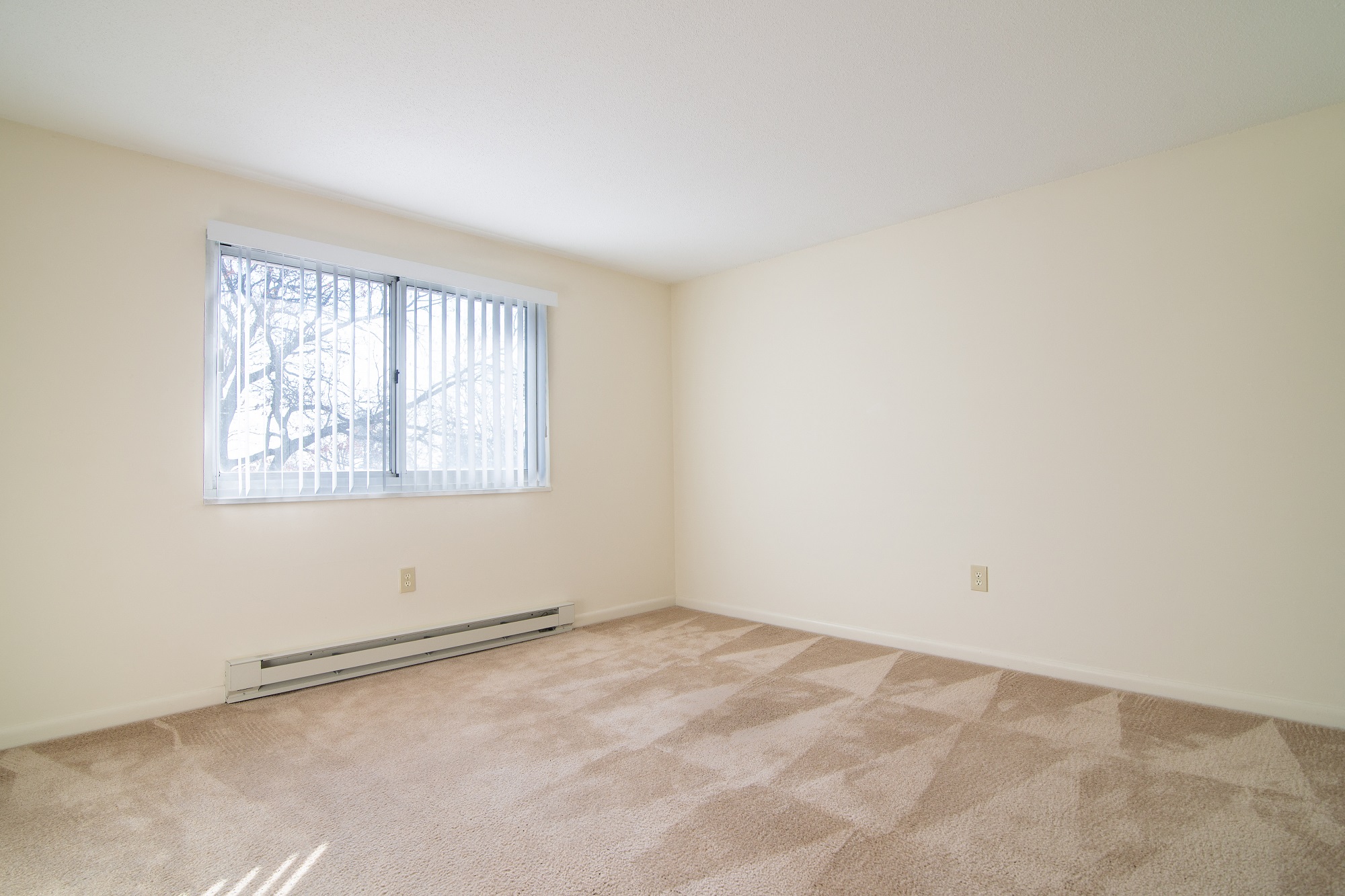 Lowell, MA Heritage Properties Studio 12 Beds Meadow Lane